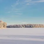 Lakefront Ainola, 55 Km From *
