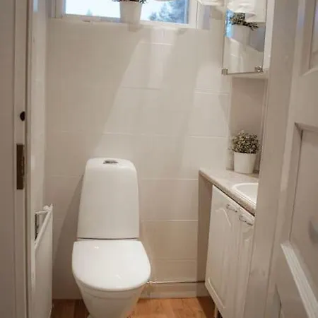 Lakefront Ainola, 55 Km From روفانييمي