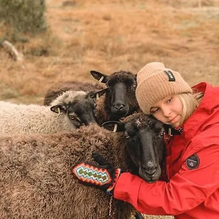 Lakefront Ainola, 55 Km From * 罗瓦涅米