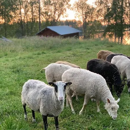 Lakefront Ainola, 55 Km From *