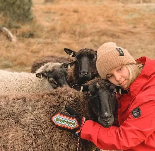 Lakefront Ainola, 55 Km From * Рованиеми