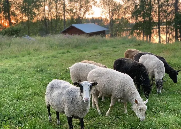 Lakefront Ainola, 55 Km From *